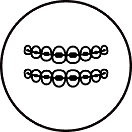 Icon - Medical chart and stethoscope