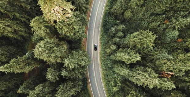 thumbnail-top-view-of-car-on-road-surrounded-by-trees