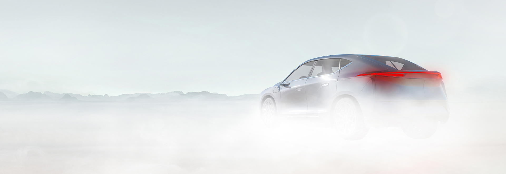 Group of tree tops in a forest