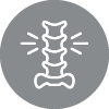 Icon - Spinal cord