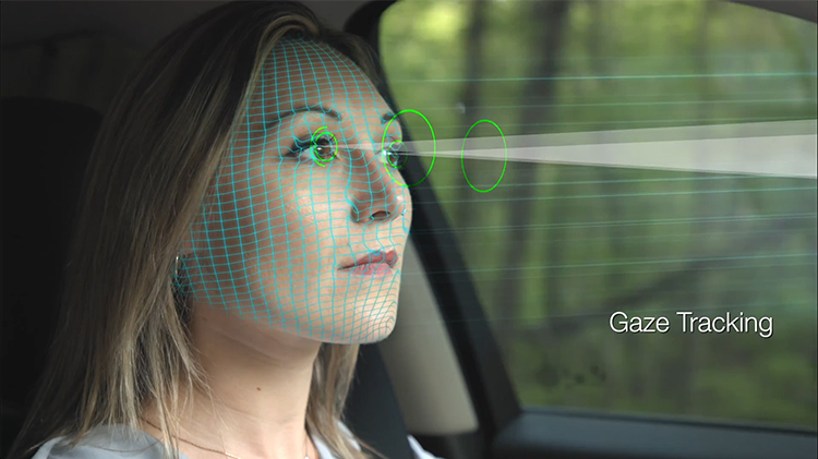 Person driving a car illustrating Driver Monitoring System in the car
