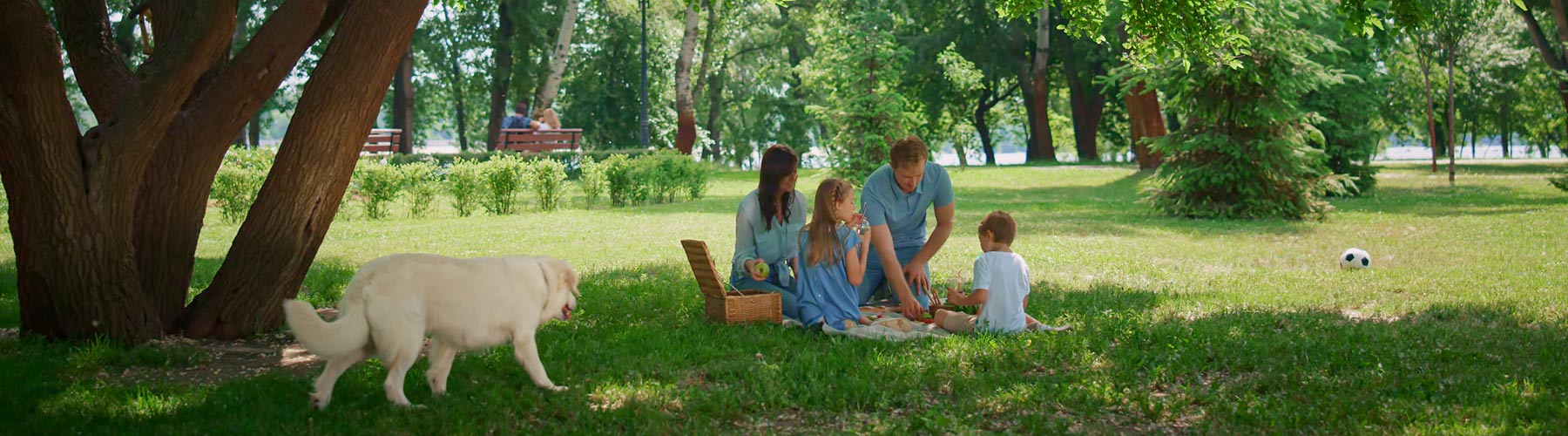 People having a picnic in a park with their dog