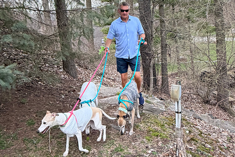 A person walks three dogs on colorful leashes through a wooded area. Wearing sunglasses and casual clothes, and the scene has a peaceful, relaxed vibe.