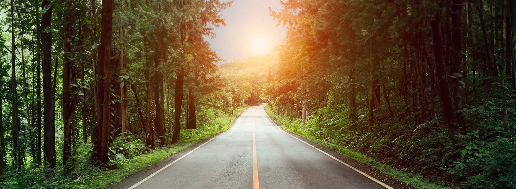 Two lane tree lined road with the sun shining in the distance