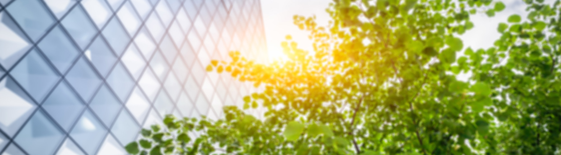 Looking up at an office building with a tree in the foreground