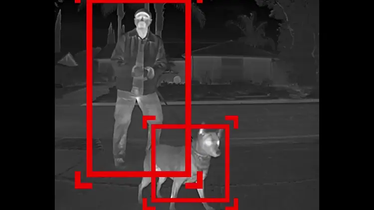 Person and dog walking at night and sensed by a camera on a vehicle reversing out of a driveway